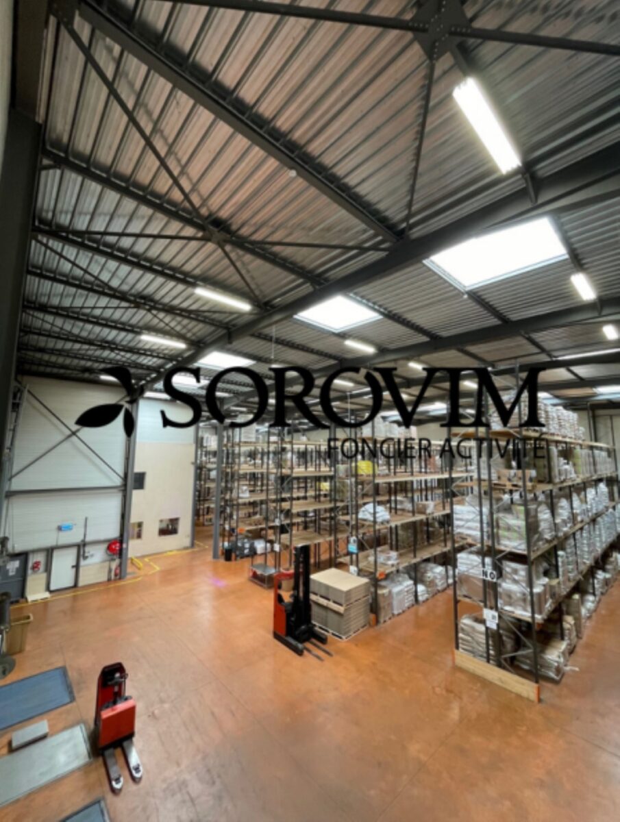 Locaux d'activité A VENDRE OU A LOUER de 3 586 m² divisibles à partir de 480 m² a LOZANNE