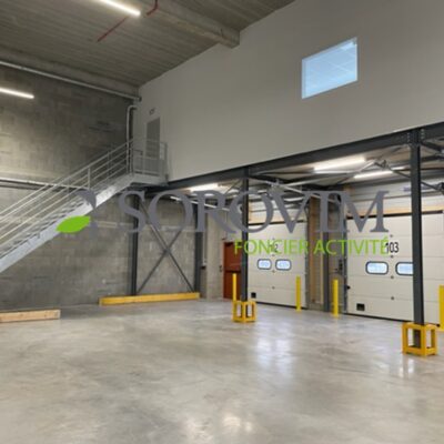 Locaux d'activité A LOUER de 12 039 m² divisibles à partir de 1 524 m² a LYON