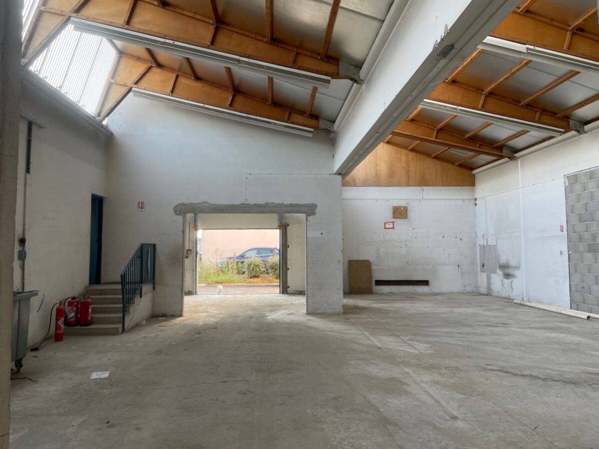 Locaux d'activité A VENDRE de 1 090 m² divisibles à partir de 100 m² a CHASSIEU