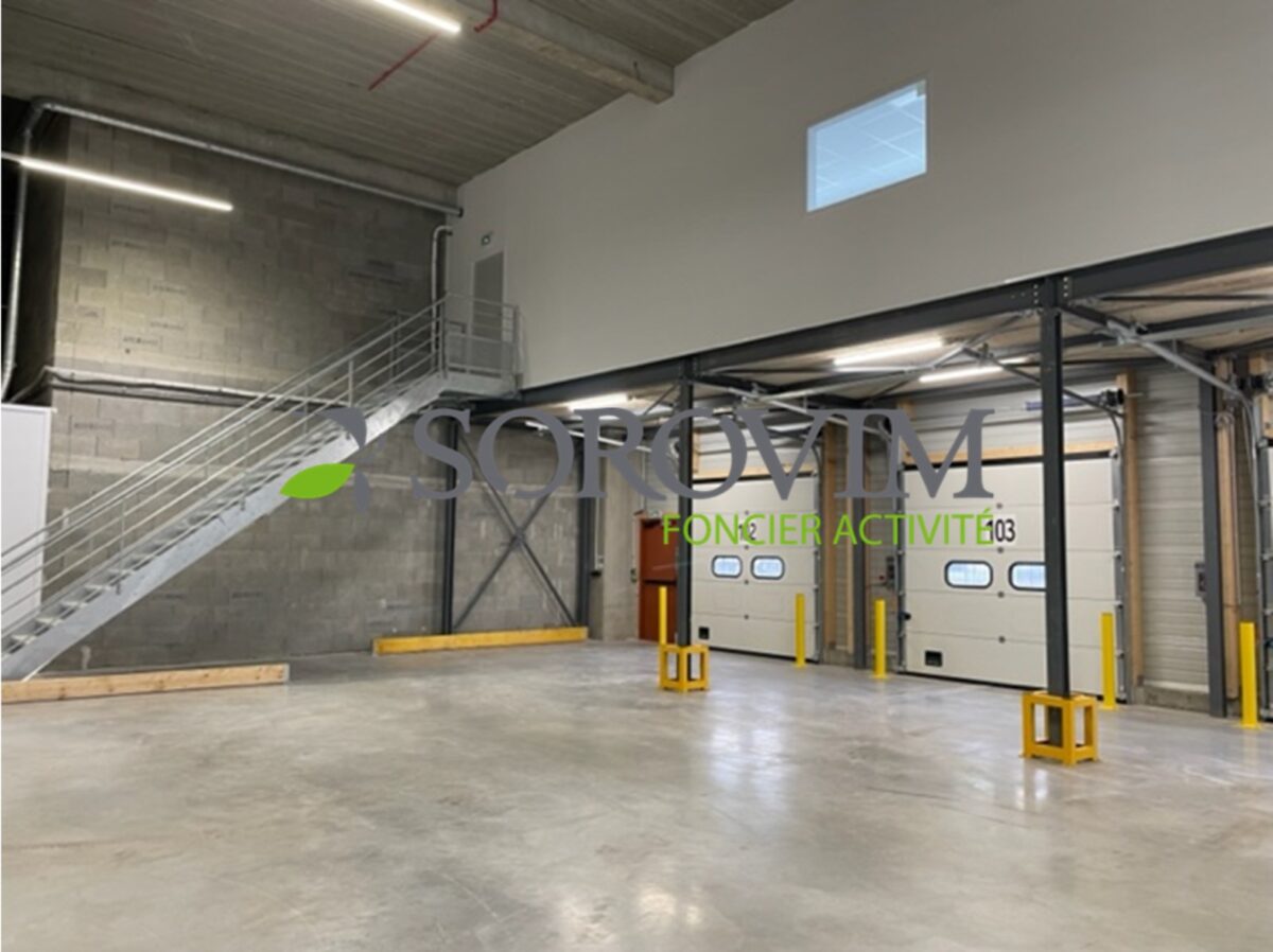 Locaux d'activité A LOUER de 12 039 m² divisibles à partir de 1 524 m² a LYON