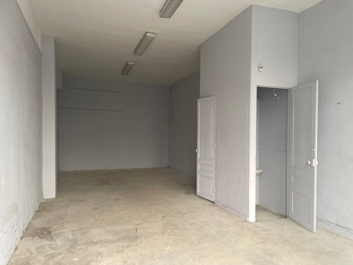 Locaux d'activité A LOUER de 420 m² divisibles à partir de 30 m² a VILLEURBANNE