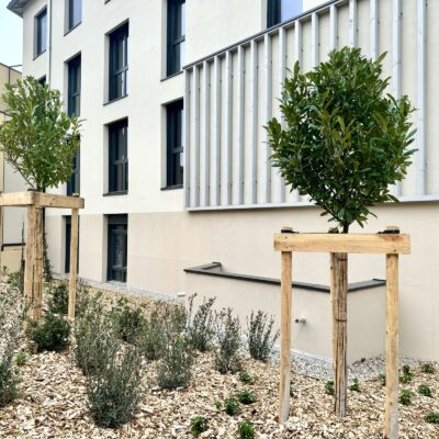 Bureaux A VENDRE de 127 m² non divisibles a CHARLY