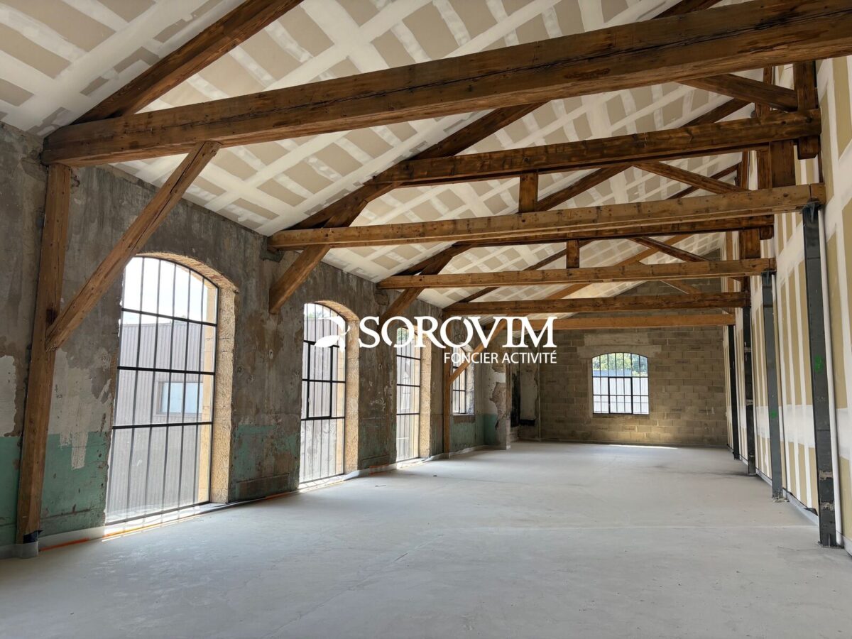Locaux d'activité A VENDRE de 413 m² divisibles à partir de 192 m² a CHAPONOST