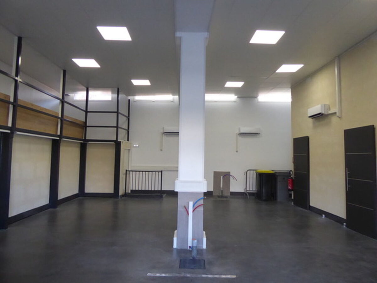 Locaux d'activité A LOUER de 340 m² divisibles à partir de 122 m² a LYON