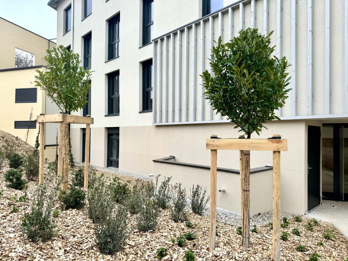 Bureaux A VENDRE de 127 m² non divisibles a CHARLY